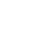 PDF icon